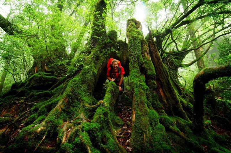 Đảo Yakushima