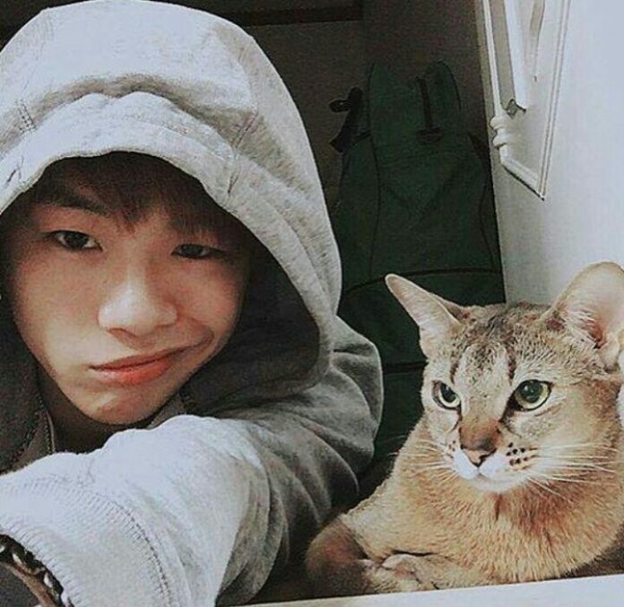 Kang Daniel