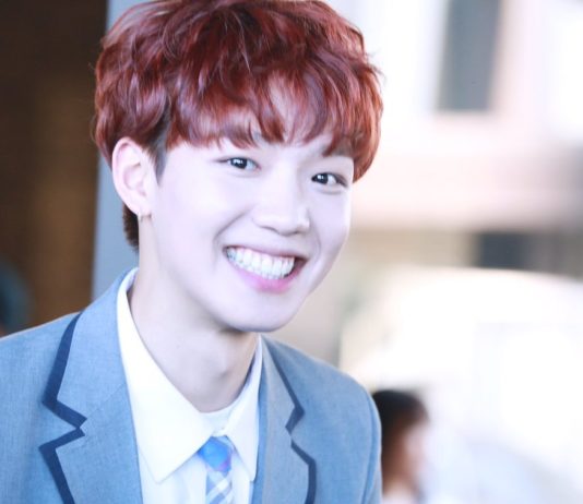 Giải mã sự thu hút của “alpaca” Im Young Min trong Produce 101 mùa 2 PD101