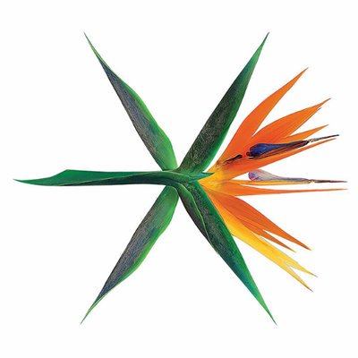 SM gây sốt khi đổi logo của EXO, chuẩn bị cho màn comeback khủng ...