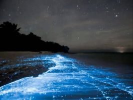 Biển Maldives
