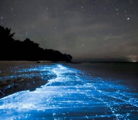Biển Maldives