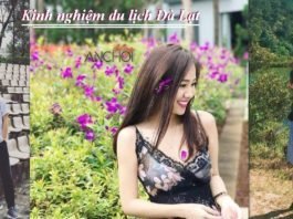 Kinh nghiệm du lịch Đà Lạt chi tiết từ A đến Z hữu ích Đà Lạt