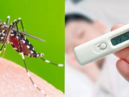 5 nguyên nhân sốt xuất huyết mọi người cần chú ý Nguyên nhân sốt xuất huyết