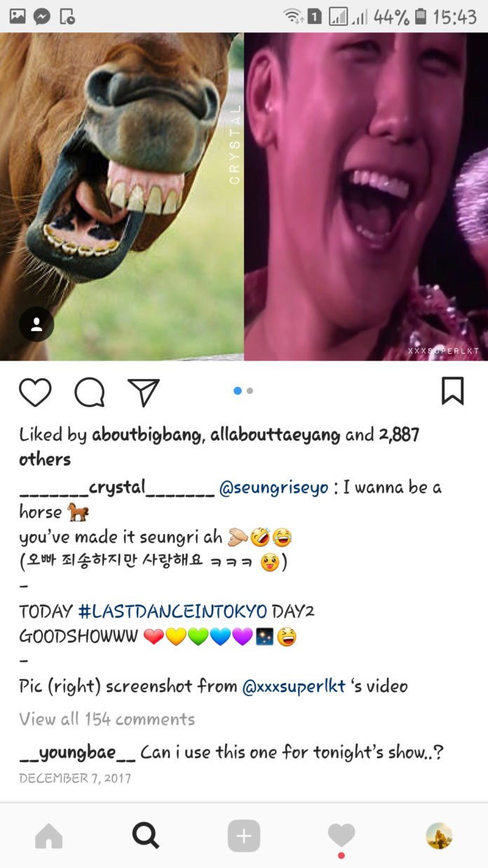 bigbang-concert-seungri-horse