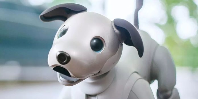 Chó robot Aibo