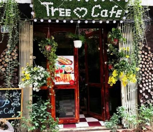 Tree cafe: Không gian xanh, thanh bình giữa lòng Hà Nội quán
