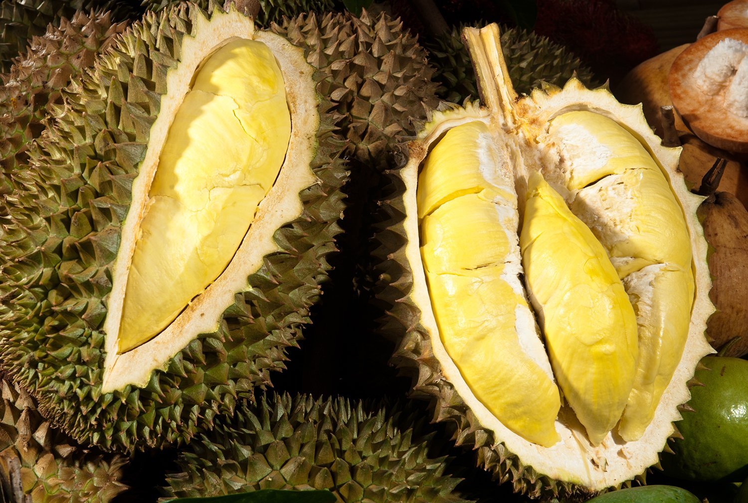 Điểm danh 5 giống sầu riêng được ưa chuộng nhất tại Việt Nam
