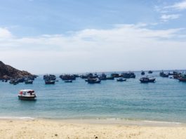 Đảo Kỳ Co