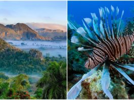 Du lịch Cuba: 15 điều thú vị bạn nên trải nghiệm khi đến Cuba (Phần 2) Địa điểm ở Cuba