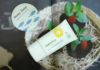 Innisfree Daily UV Protection Cream Mild SPF35/PA++