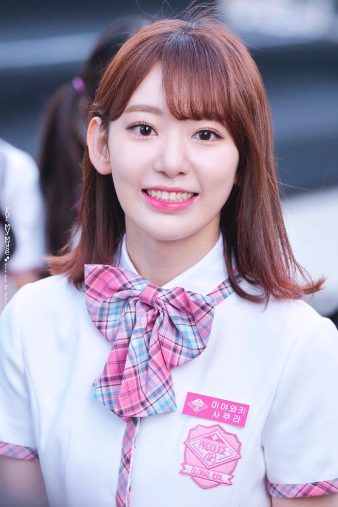 sakura