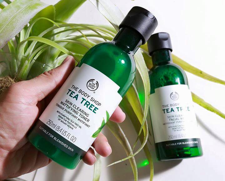 Review nước hoa hồng dành cho da mụn The Body Shop Tea Tree Skin Clearing  Mattifying Toner - BlogAnChoi