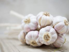 Ăn tỏi sống mỗi ngày