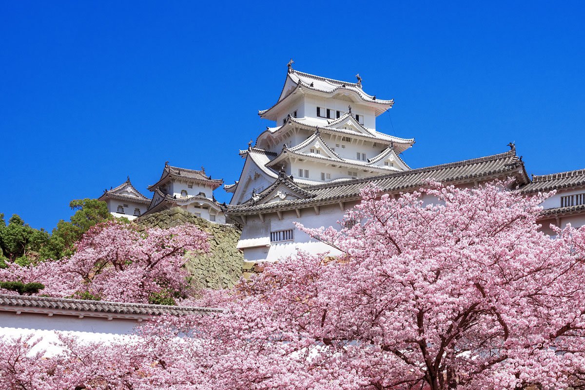 Khám phá lâu đài Himeji : Lâu đài cổ đẹp bậc nhất Nhật Bản - BlogAnChoi