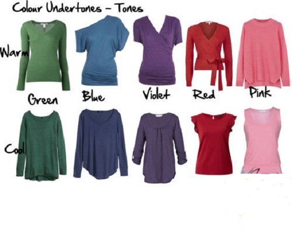 cool undertone và warm undertone