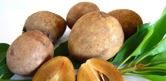 Trái hồng xiêm