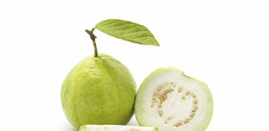 tác dụng của quả ổi đối với bà bầu