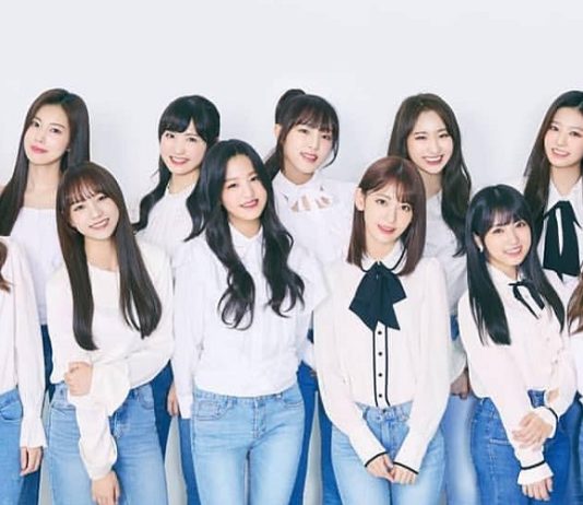 izone profile thông tin thành viên