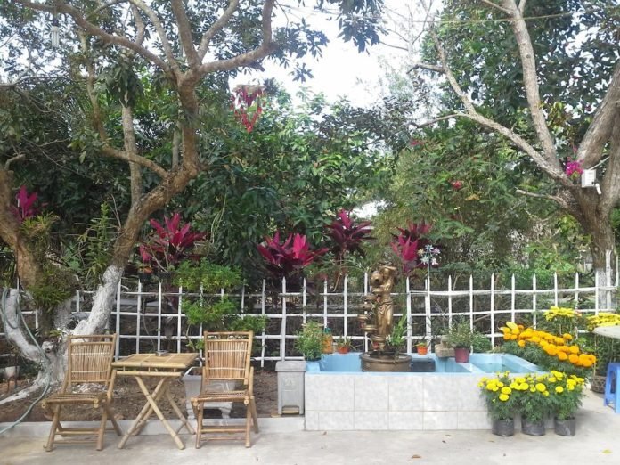 Nam Thanh Homestay