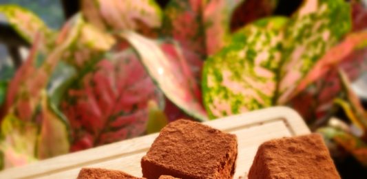nama chocolate nhật bản