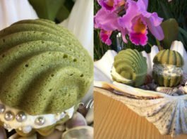 Bánh bông lan trà xanh hình con sò