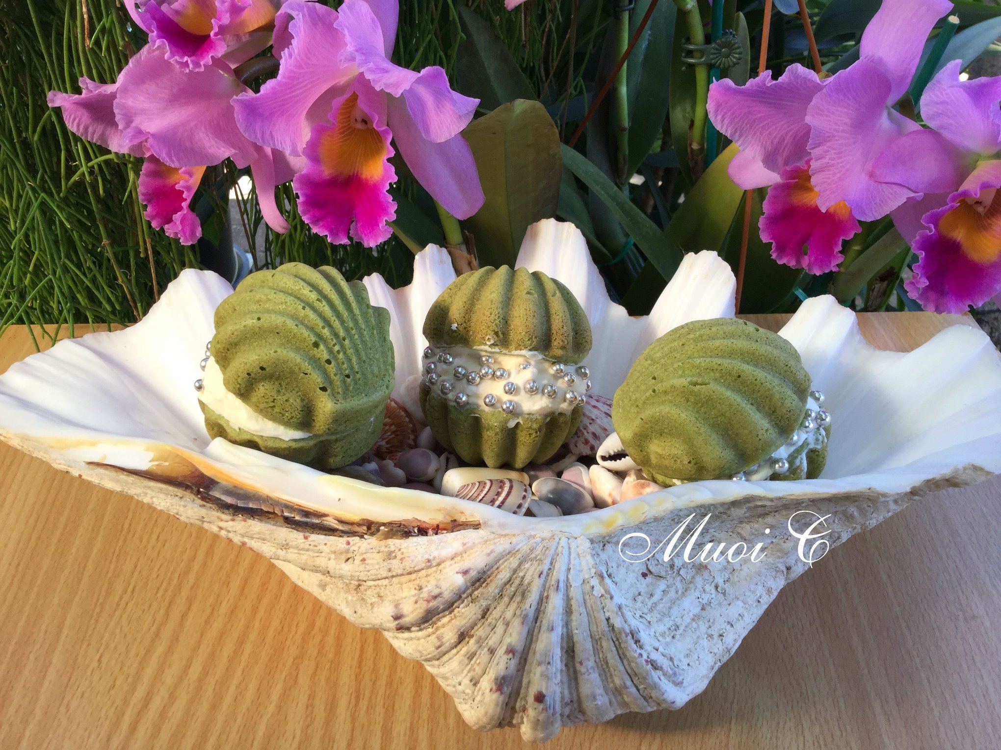 Bánh bông lan trà xanh hình con sò