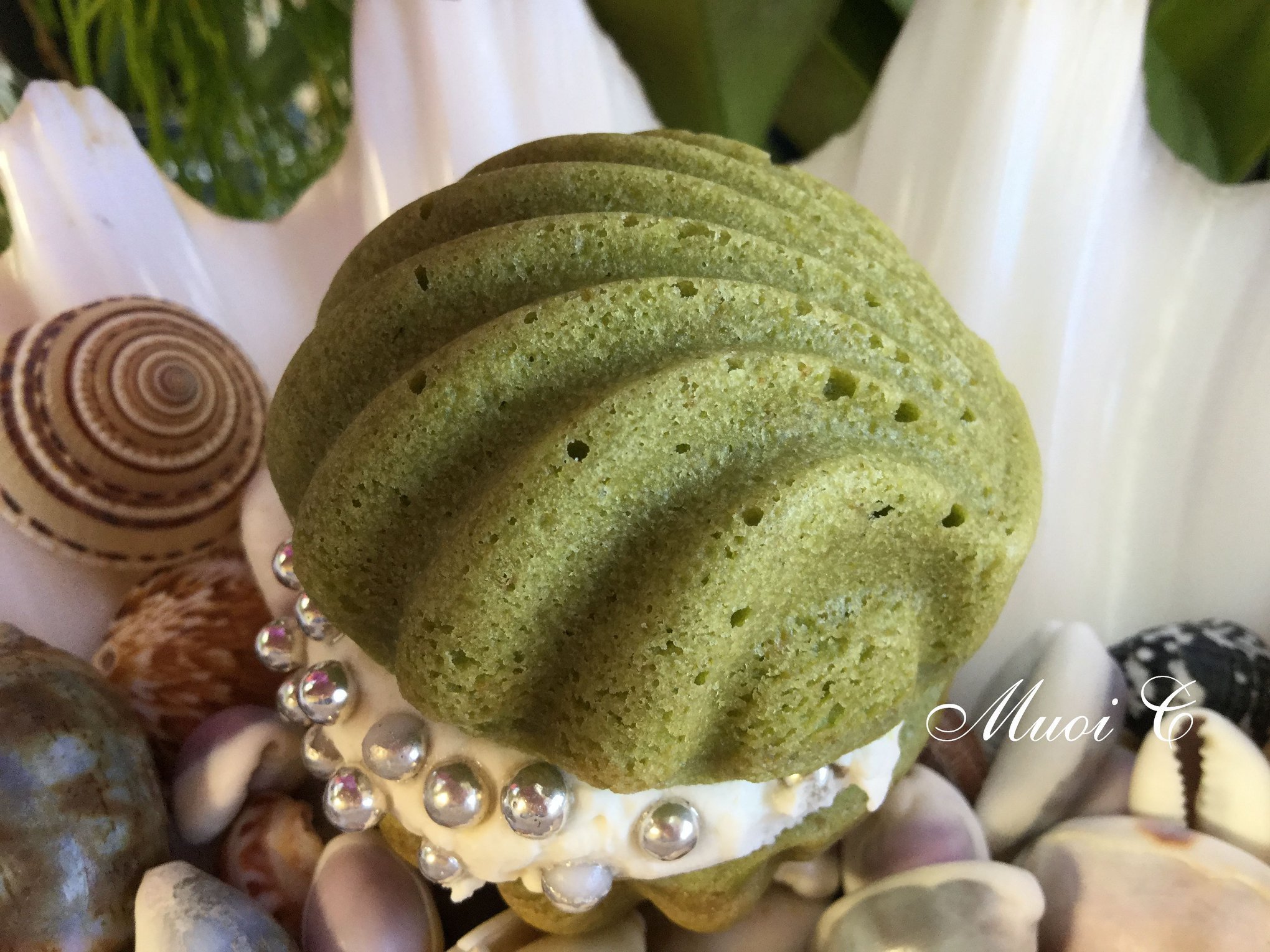 Bánh bông lan trà xanh hình con sò