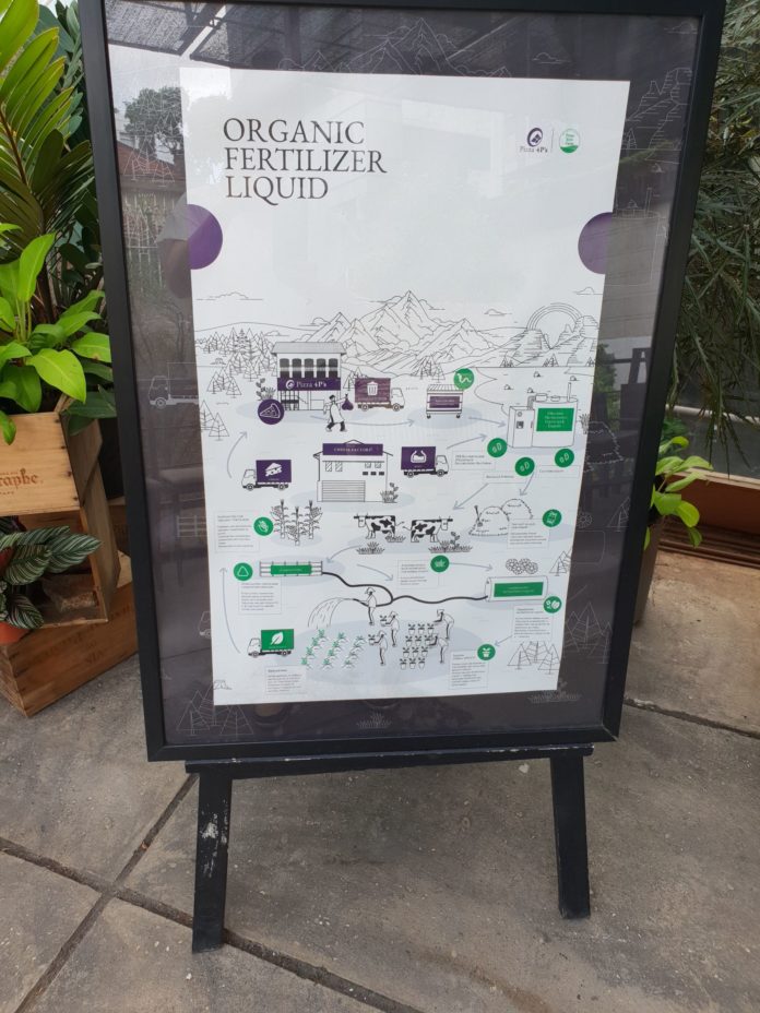 Ghé Pizza 4Ps để thưởng thức pizza kiểu Nhật - phong cách Ý địa điểm ăn uống For Peace pizza pizza 4Ps pizza kiểu Nhật - phong cách Ý pizza ngon