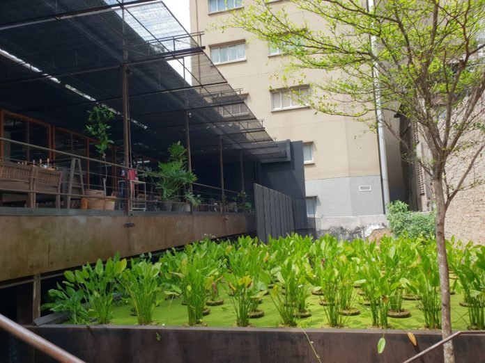 Ghé Pizza 4Ps để thưởng thức pizza kiểu Nhật - phong cách Ý địa điểm ăn uống For Peace pizza pizza 4Ps pizza kiểu Nhật - phong cách Ý pizza ngon