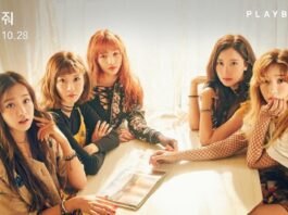 Hồ sơ PLAYBACK – Thông tin thành viên nhóm nhạc PLAYBACK – PLAYBACK Profiles Thông tin thành viên nhóm nhạc PLAYBACK