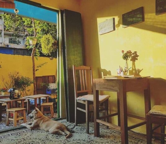 5 Quán cafe Vintage ở Hà Nội khiến bạn “rung động” ngay từ lần đầu bắt gặp