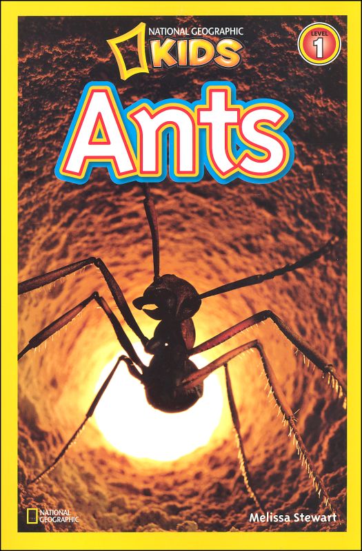 Bìa trước cuốn sách National Geographic Readers: Ants (ảnh: internet).