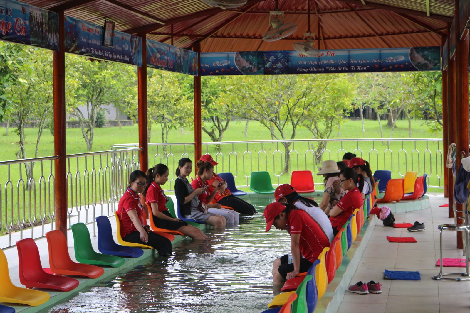 Massage cá tại khu du lịch sinh thái Thác Giang Điền
