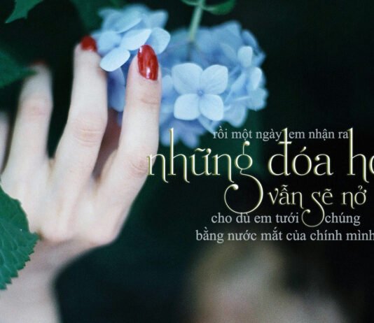 100 câu nói hay về tình yêu và cuộc sống đầy ý nghĩa sẽ cho bạn nhiều động lực những câu nói hay về cuộc sống