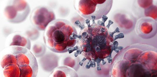 11 nguyên tắc để phòng tránh ung thư ngay từ bây giờ phòng chống ung thư