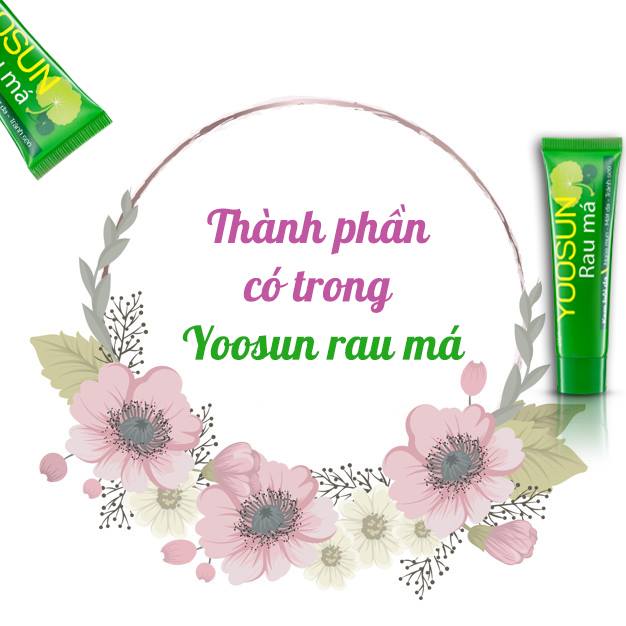 Thành phần chính của Yoosun Rau má (Nguồn: Internet)