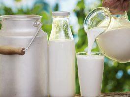 Dị ứng sữa tươi: Dấu hiệu và cách điều trị dị ứng Dị ứng sữa