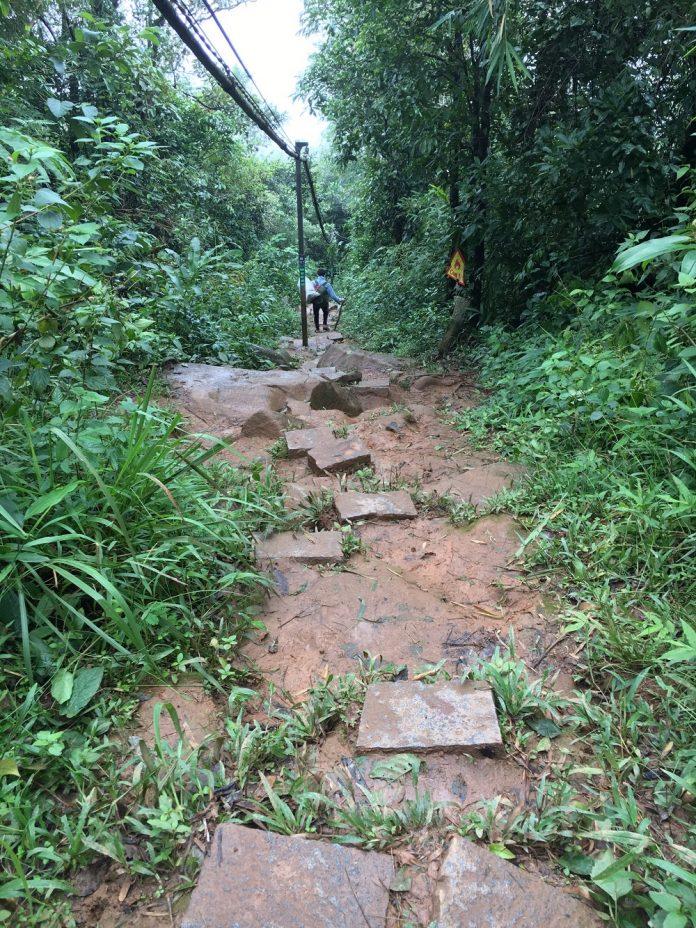 đường cột điện