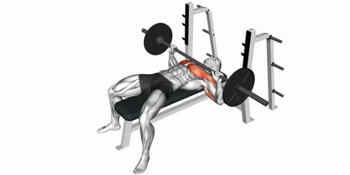 Normal grip barbell bench press.