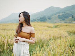 Ruộng bậc thang mùa lúa chín