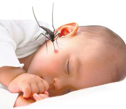 Bệnh viêm não nhật bản: Nguyên nhân, hậu quả và vaccine phòng bệnh viêm não Nhật Bản