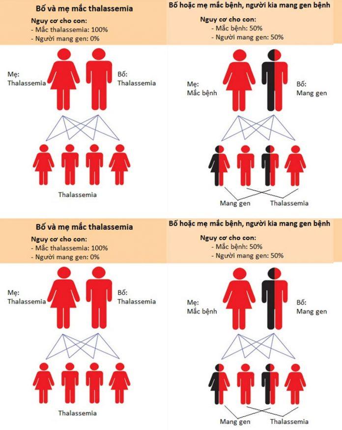 Thalassemia