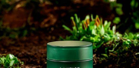 Review mặt nạ ngủ Laneige Cica Sleeping Mask: Dưỡng ẩm sâu và bảo vệ da mặt nạ ngủ Laneige Cica Sleeping Mask