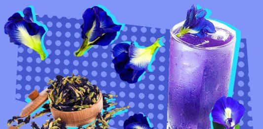 trà hoa đậu biếc