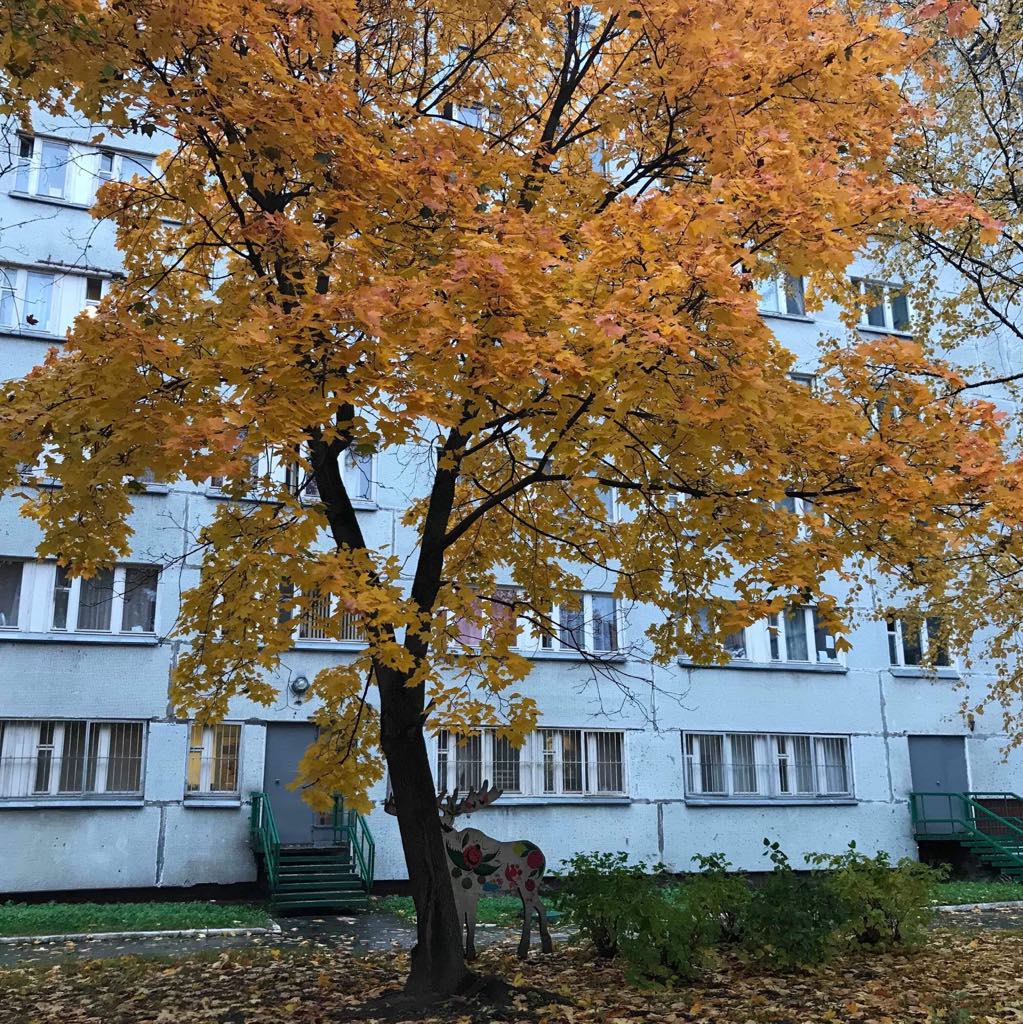 Trái lại, mùa thu ở Nga lại vô cùng đẹp (Nguồn: BlogAnChoi)