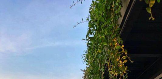 cà phê cà phê sân thượng Sargon Coffee