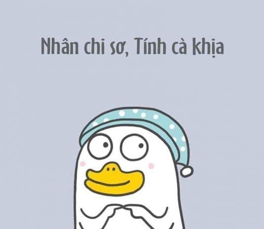 cập nhật từ điển tiếng Việt (Nguồn: Internet)