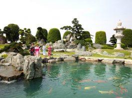 Công viên Đá Nhật Rin Rin Park – Nhật Bản thu nhỏ ngay tại Sài Gòn Công viên Đá Nhật Rin Rin Park