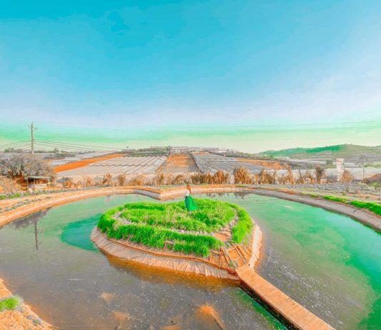 Top 5 địa điểm du lịch tại Đà Lạt